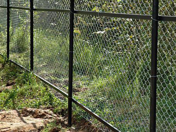 Сетка рабица — отличный материал для забора Сетка рабица — отличный материал для забора